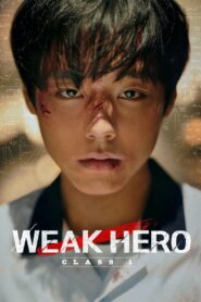 Weak Hero (2022) Season 1&2